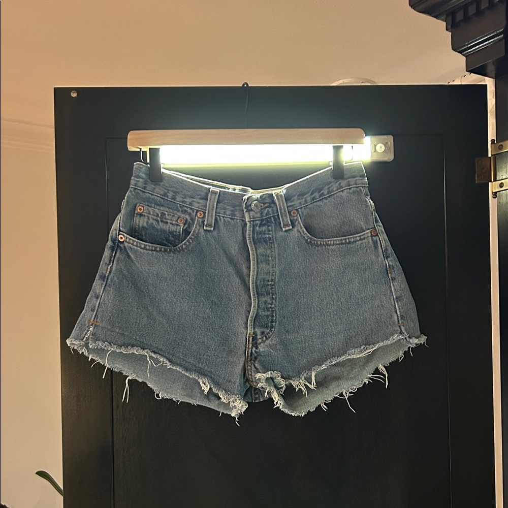 Re/Done Blue Jean Cutoff Shorts